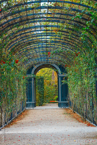 romantic garden walkway forming a green tunnel of acacias in Vienna, Austria