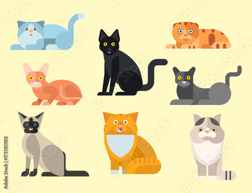 Fototapeta Naklejka Na Ścianę i Meble -  Cats vector illustration cute animal funny decorative kitty characters feline domestic kitten trendy pet drawn
