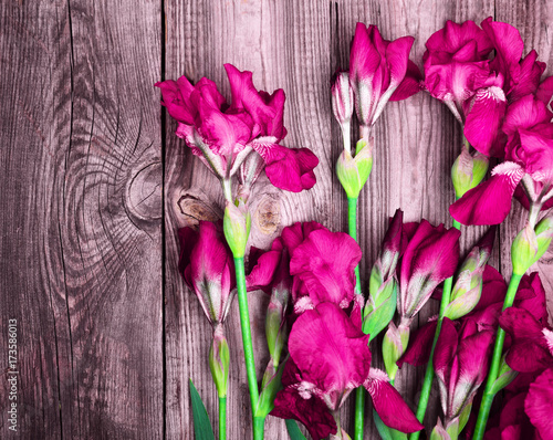 Fototapeta Naklejka Na Ścianę i Meble -  purple irises on a gray wooden background