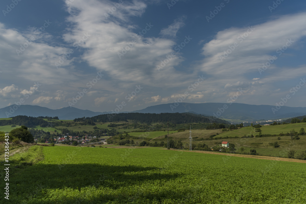 Meadow under Velky Choc hill near Jasenova village in north Slovakia in summer