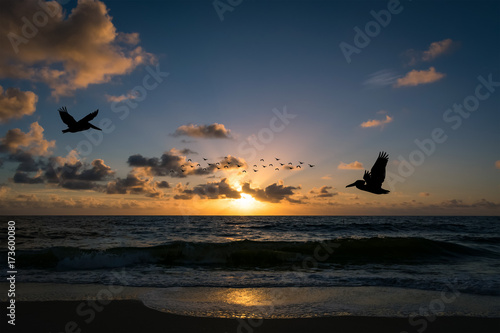 silhouettes of pelicans and birds flying over the ocean on a warm summer morning just after sunrise