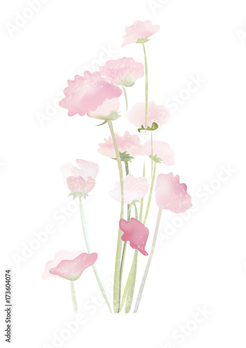 pink flowers