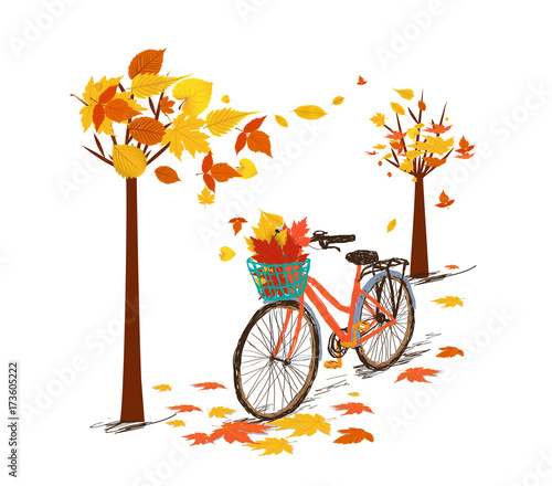Hello autumn. Hand drawn tintage bicycle with autumn leaves in rear basket