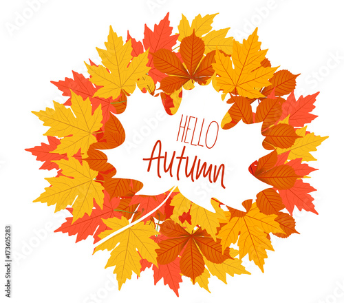 Hello autumn. The decor of the autumn leaves. white maple leaf with the text