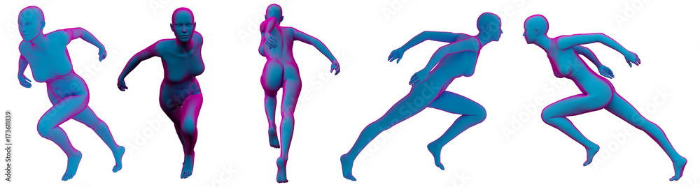 3D rendering illustration of the human anatomy