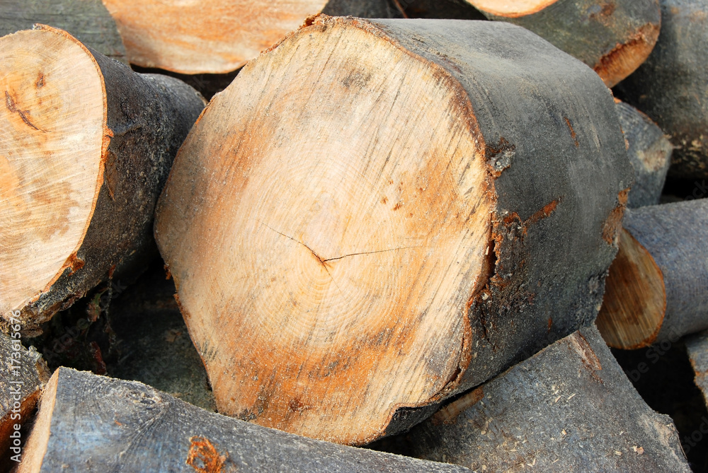 Stacked log, close up Stacked log, close up
