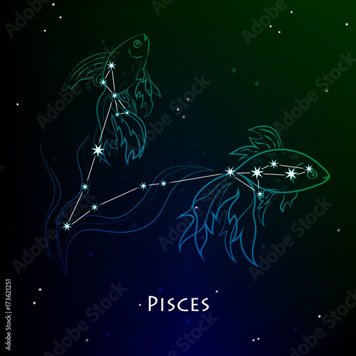 Pisces ( Fishes ) - constellation and zodiac sign against the background of a dark starry sky. Vector illustration on a black backdrop.