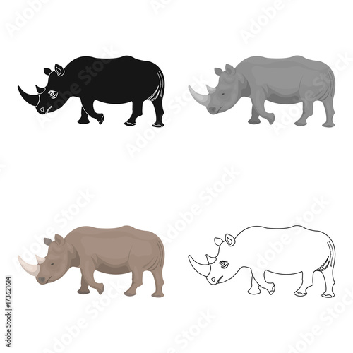 A large Indian rhinoceros. A wild animal, a rhinoceros single icon in cartoon style vector symbol stock illustration web.