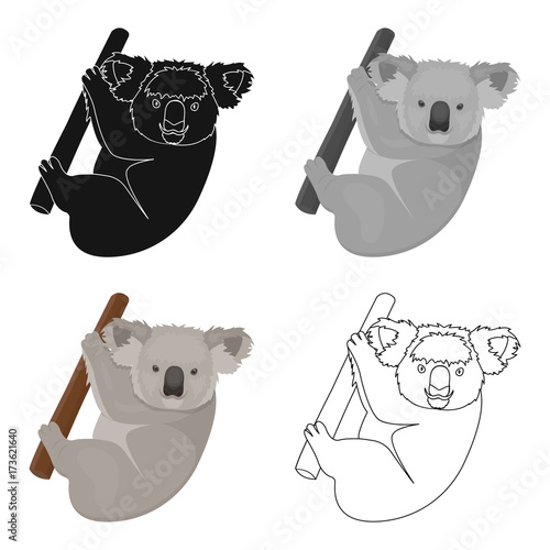 Kuala, marsupial bear on a branch of eucalyptus. Wild mammal of koala single icon in cartoon style vector symbol stock illustration web.
