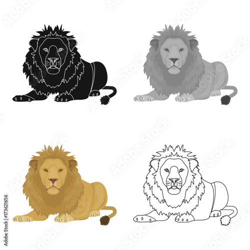 A lion, a wild and ferocious predator. Leo, the king of beasts single icon in cartoon style vector symbol stock illustration web.