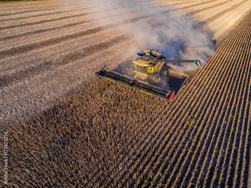 An afternoon aerial photo of a large combine harvesting corn in an Indiana farm field 