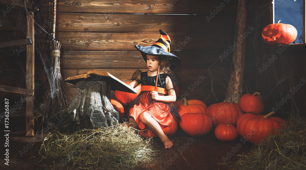 Fototapeta Halloween mała czarownica przywołuje księgę zaklęć, magiczną różdżkę i dynie