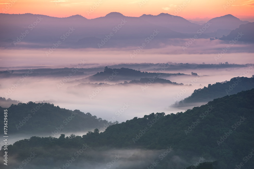 Beautiful landscape. Majestic view on beautiful fog mountains in mist landscape