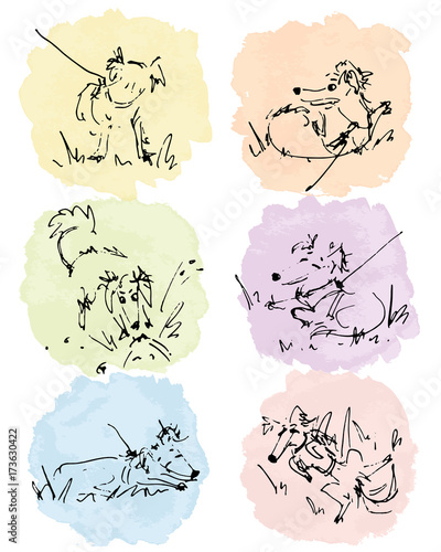 Set of hand drawn cute dog on watercolor backgrounds