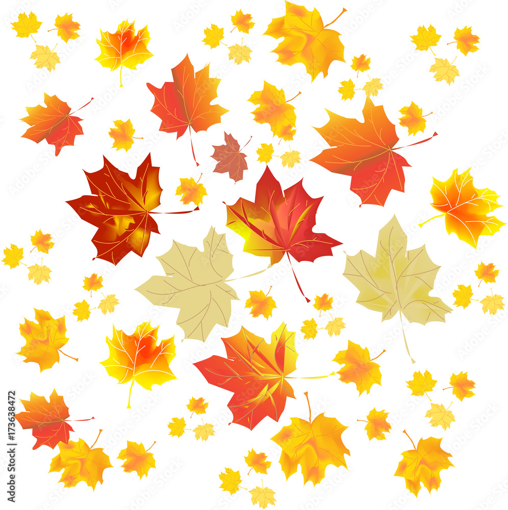 Fototapeta premium Multi-colored autumn leaves on a white background. Vector illustration.