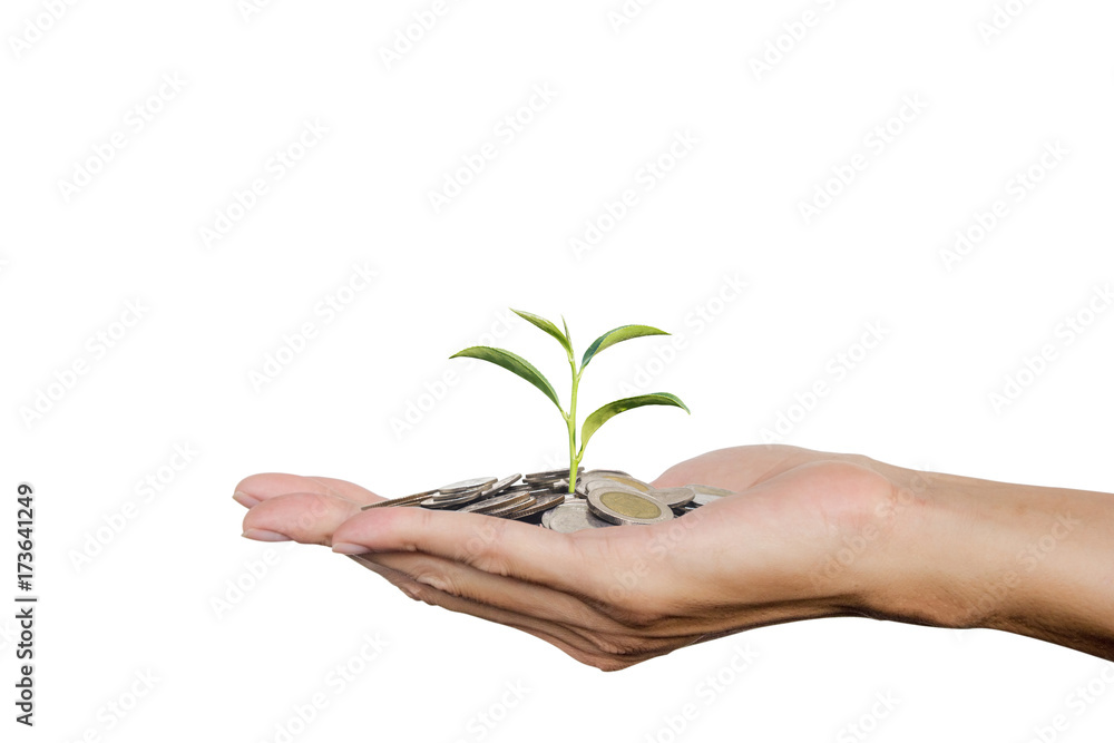 Hand holding growing tree sprout on stack coins isolated on white background with clipping path. Conceptual saving money, investment, financial for good life or business. Hand holding growing tree sprout on stack coins isolated on white background with clipping path. Conceptual saving money, investment, financial for good life or business.
