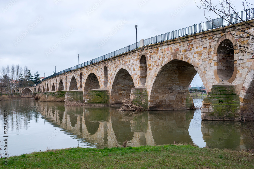Zamora Puente Romano