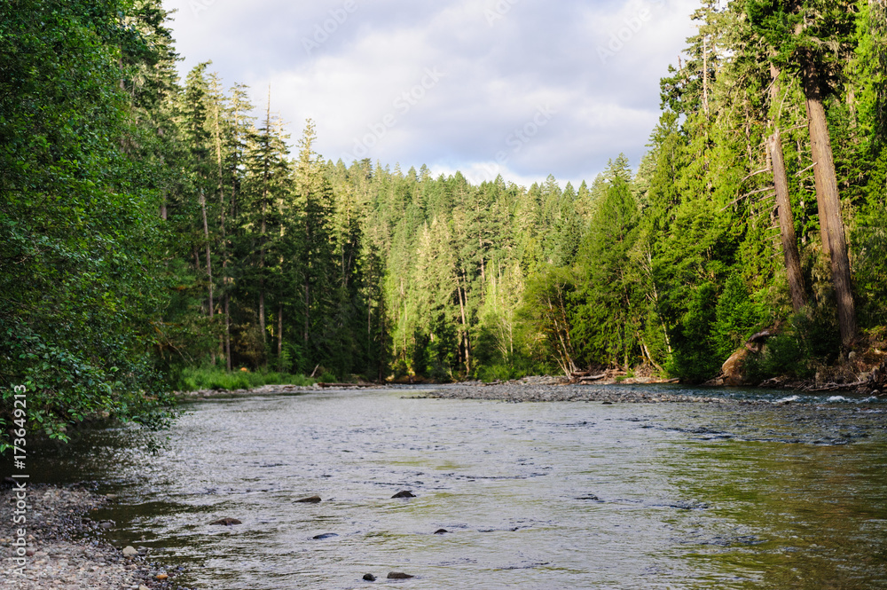 The Cowlitz River