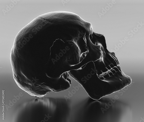 Holographically styled realistic skull model on on a reflective infinite place. photo