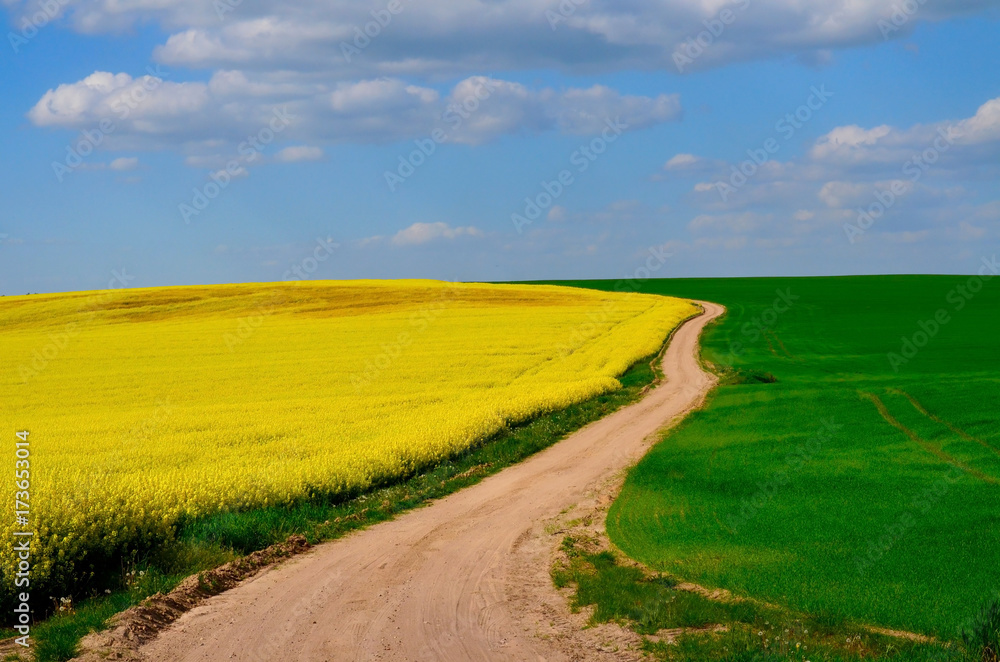 Obraz premium Sandy rural road among the fields. Summer landscape with road