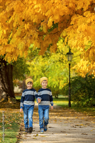 Two beautiful children  boy brothers  walking on a path in beautiful renaissance castle Hluboka