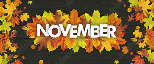Autumn Foliage Fall Header November Wood