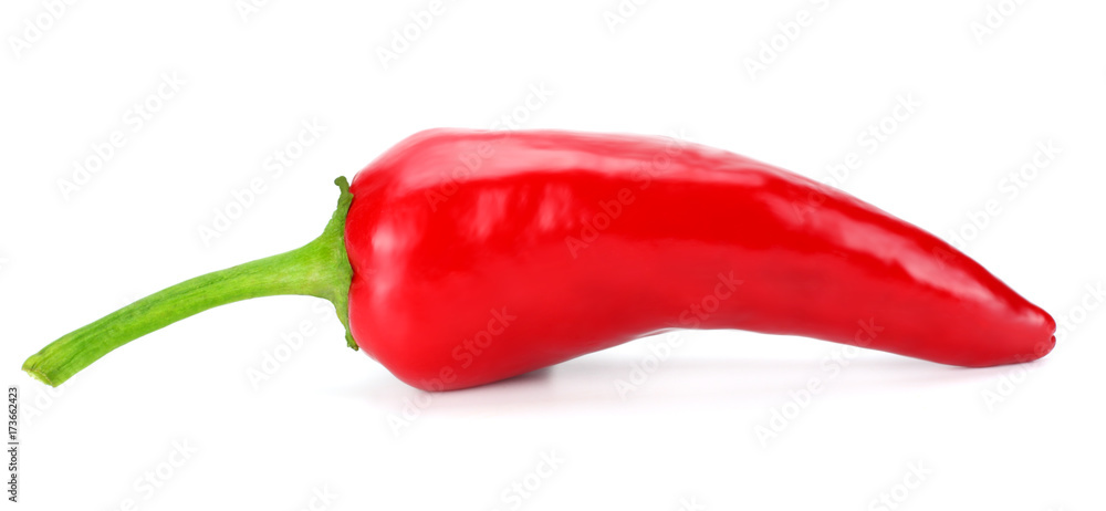 red hot chili pepper isolated on white background red hot chili pepper isolated on white background