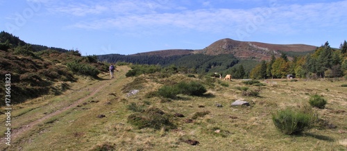 sentier de randonn  e en Auvergne