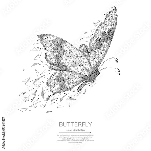 Butterfly low poly wireframe isolated black on white background. Abstract mash line and point origami. Vector polygon illustration. Insect with geometry triangle. Light connection digital structure.