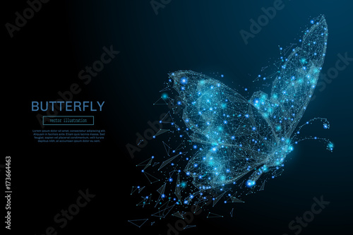Butterfly composed of polygon. Low poly vector illustration of a starry sky or Comos. The digital flyer consists of lines, dots and shapes. Wireframe technology light connection structure.