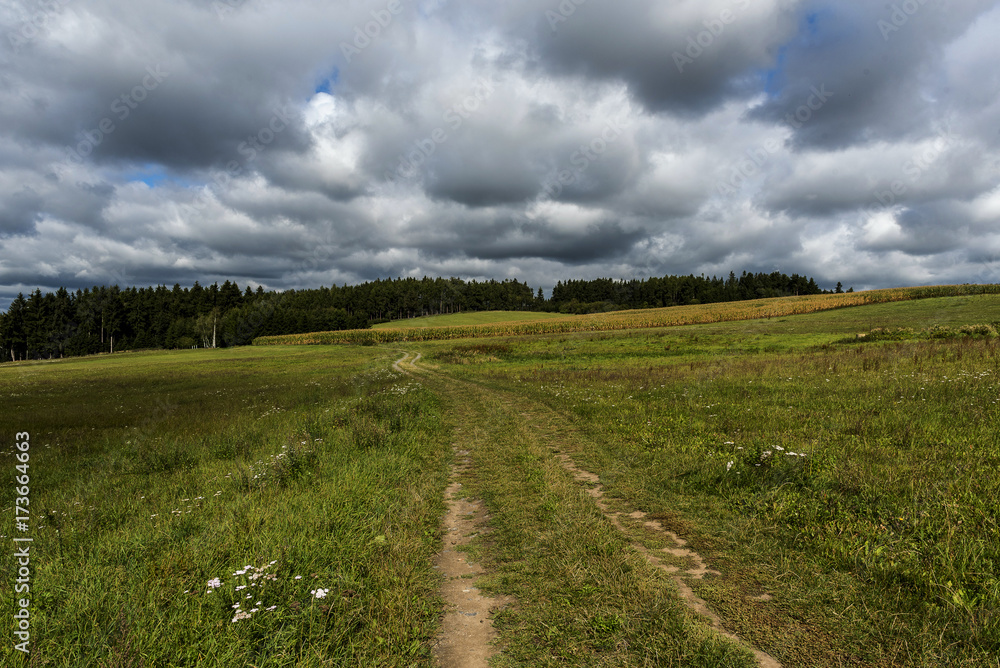 field path leading to the forest and dark clouds before the storm