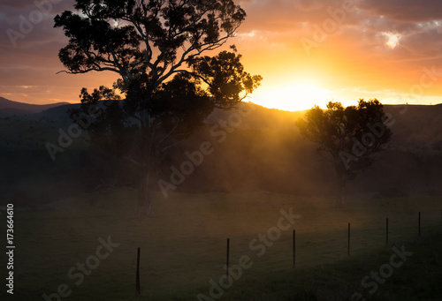 Australian landscape 