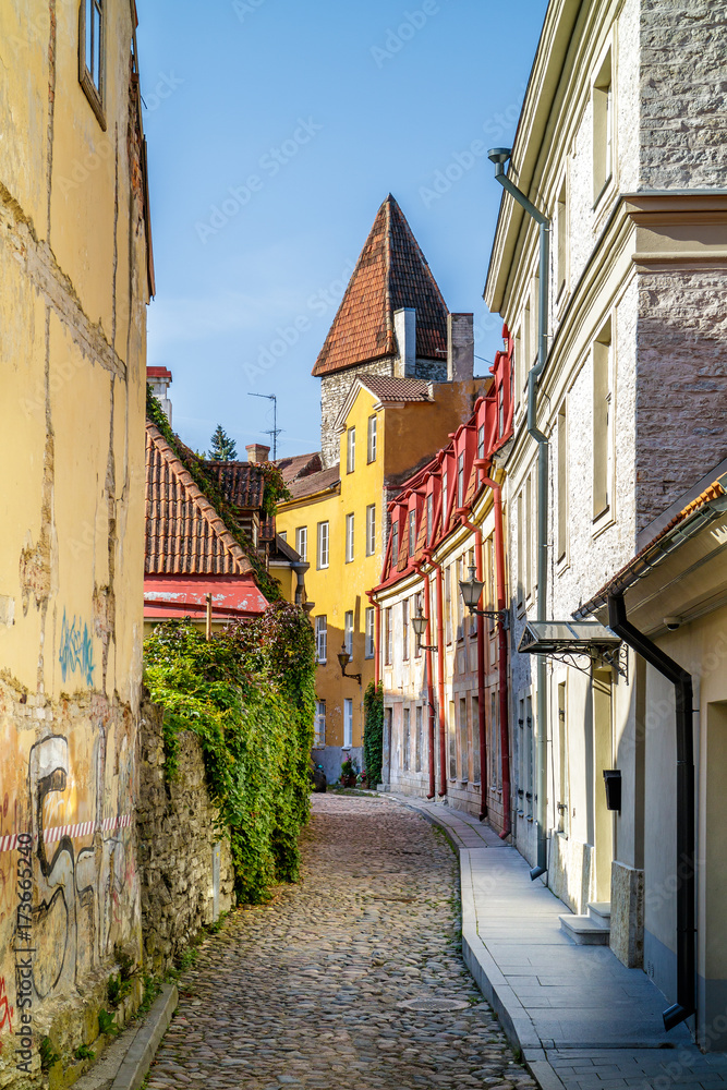 Fototapeta premium Tallinn Old Town