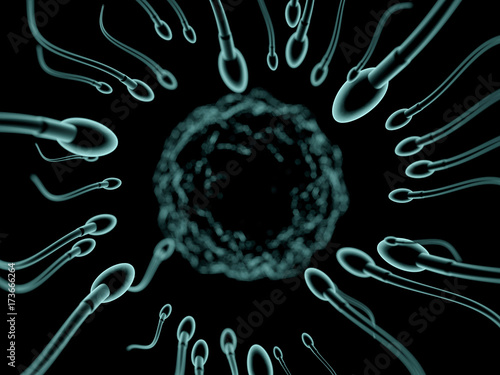 Sperm and egg cell microscopic view. 3D rendering