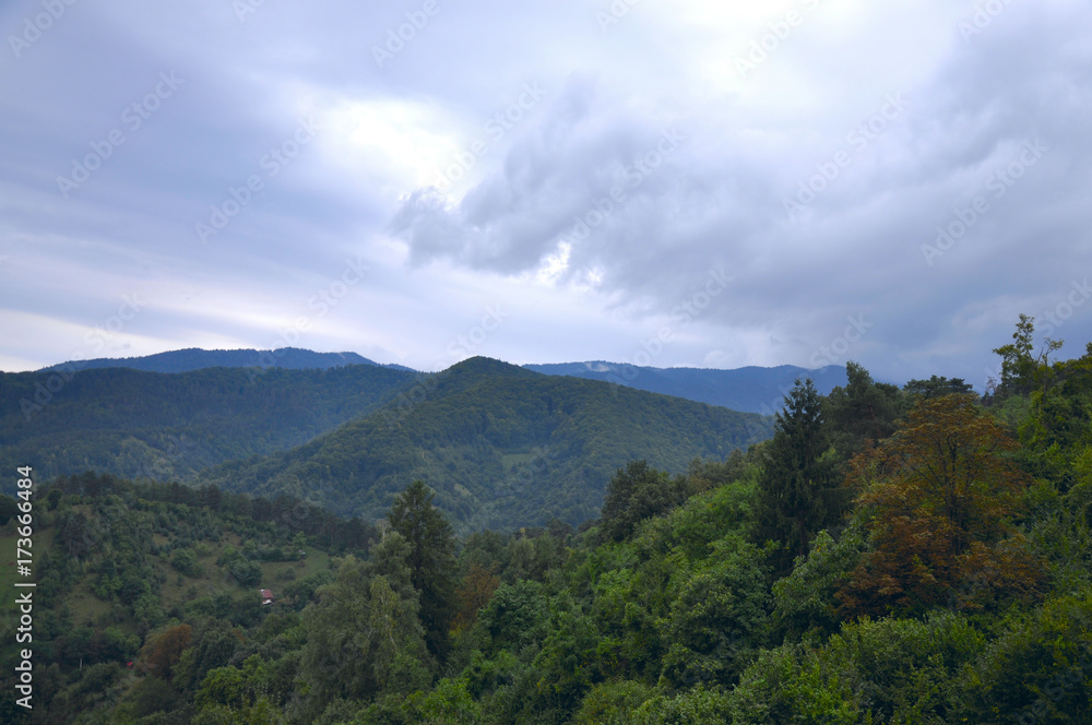 Mountains covered with green trees Mountains covered with green trees