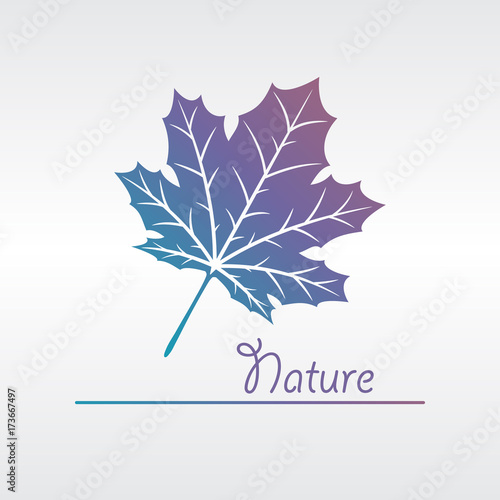 Nature logo with leaf icon and handwritte style nature text. Abstract illustration of a floral concept outdoor logo.
