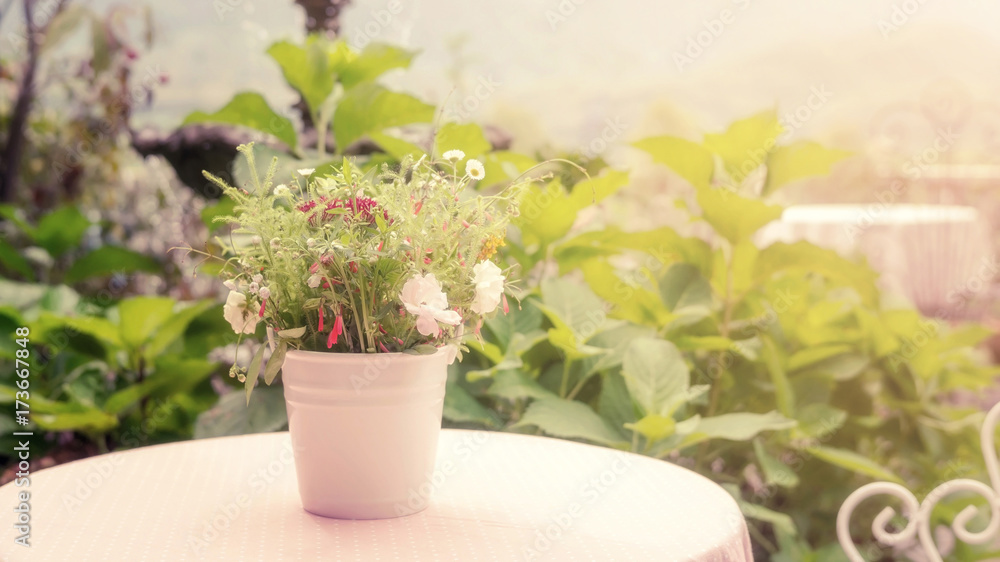 Flower in a white pot on a table, soft vintage style.