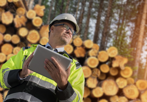 Forestry worker with digital tablet checking trees photo