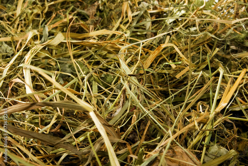image of hay as a background