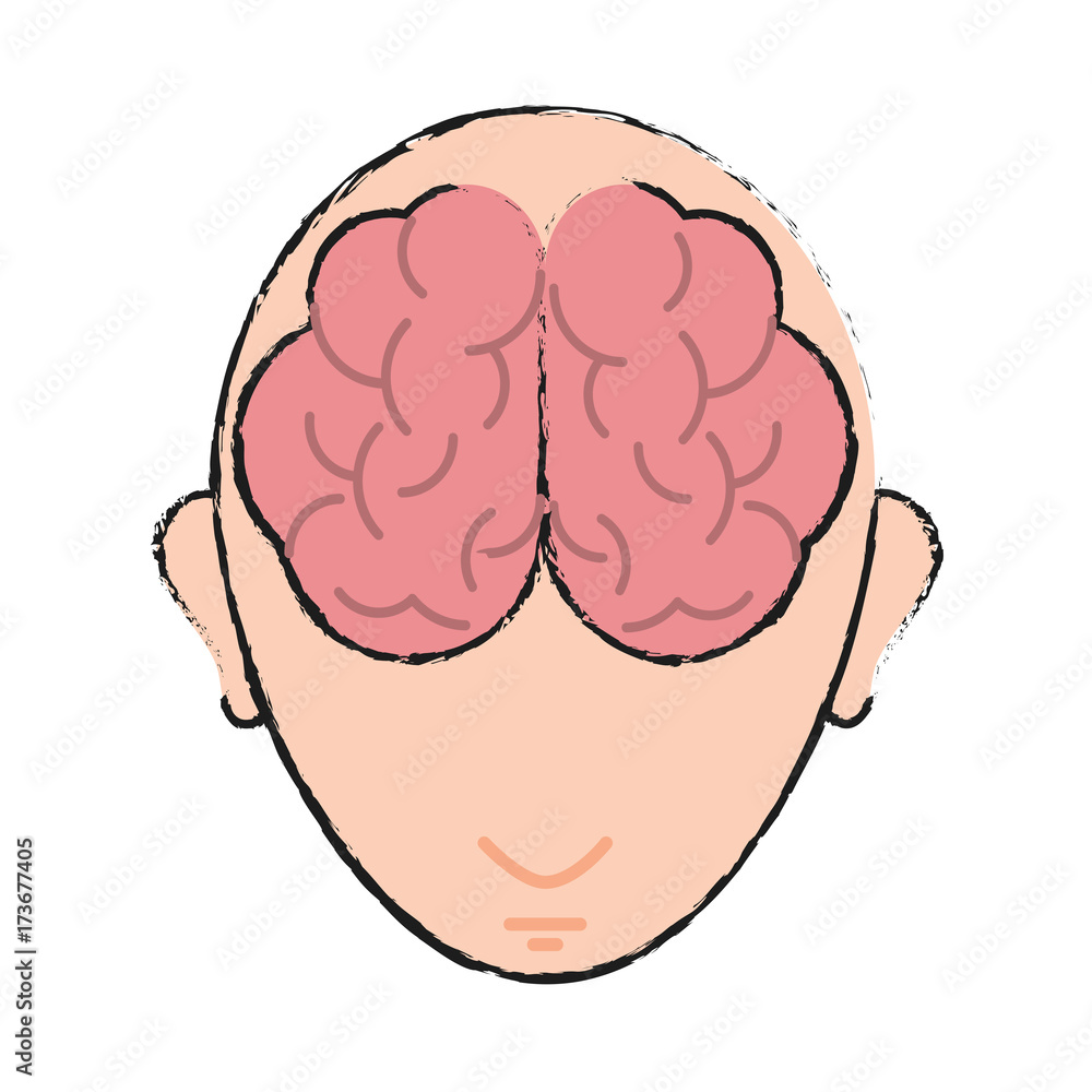 medical human brain vector icon illustration graphic design Stock ...