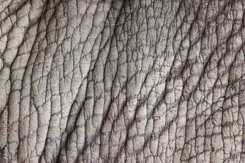 Rhinocerous Skin © beerphotographer