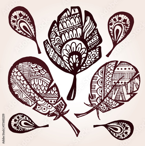 Rustic decorative feathers. Hand drawn vintage vector design set. Vector illustration