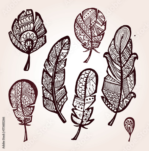 Rustic decorative feathers. Hand drawn vintage vector design set. Vector illustration