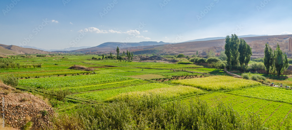 Lush fertile valley of Dades Gorge landscape with green plantations and fields, Morocco, North Africa