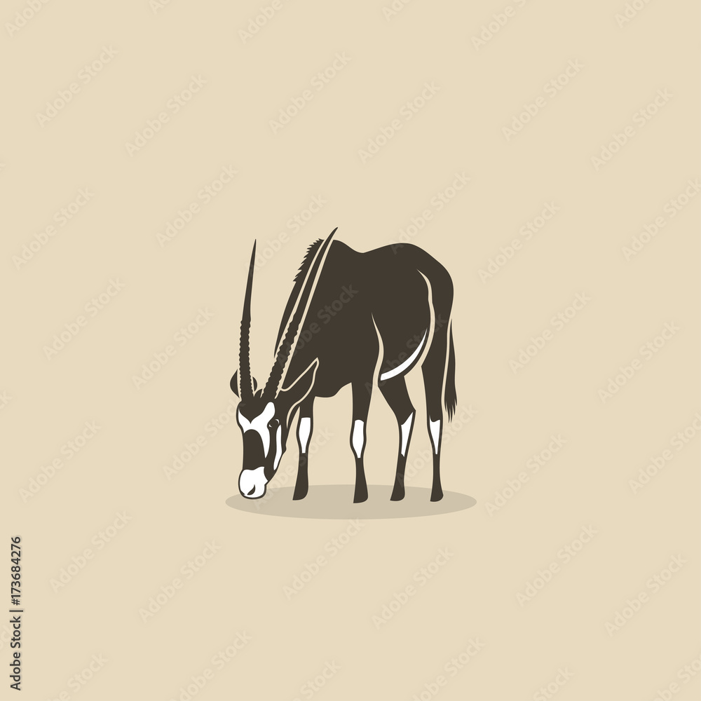 Fototapeta premium Oryx