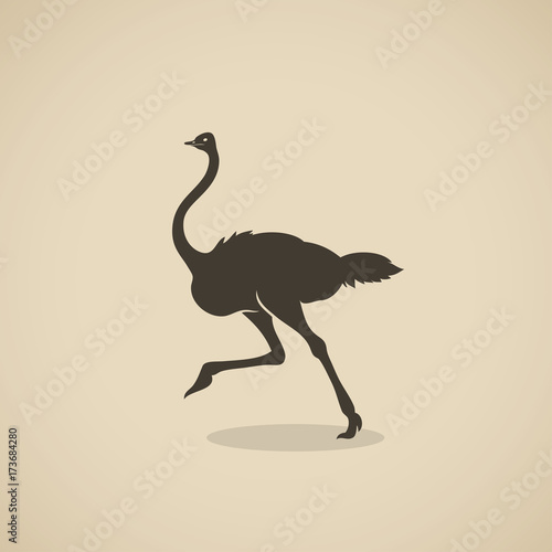Ostrich