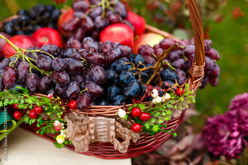 Grapes in the basket.Grapevine over vineyard background Grapes in the basket.Grapevine over vineyard background