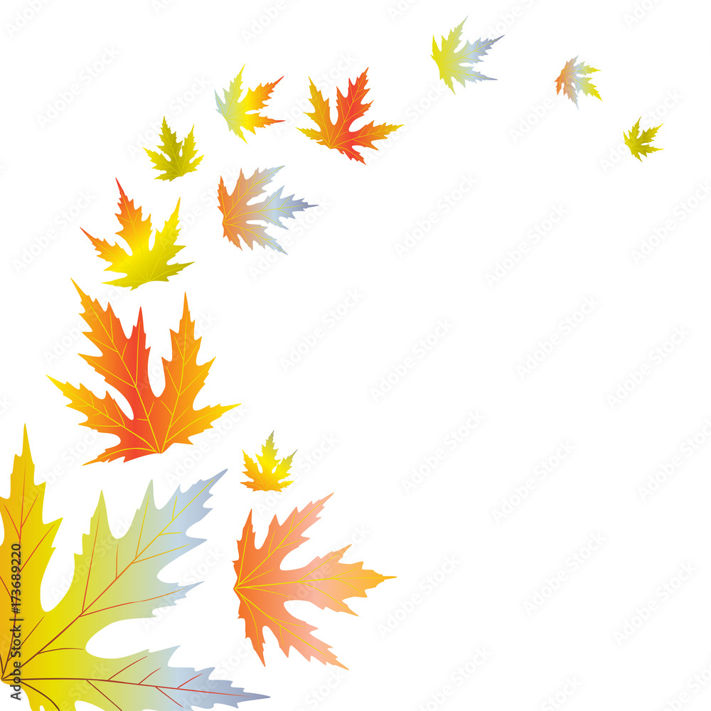 Flying Maple Leaves. Autumnal vector illustration. Flying Maple Leaves. Autumnal vector illustration.