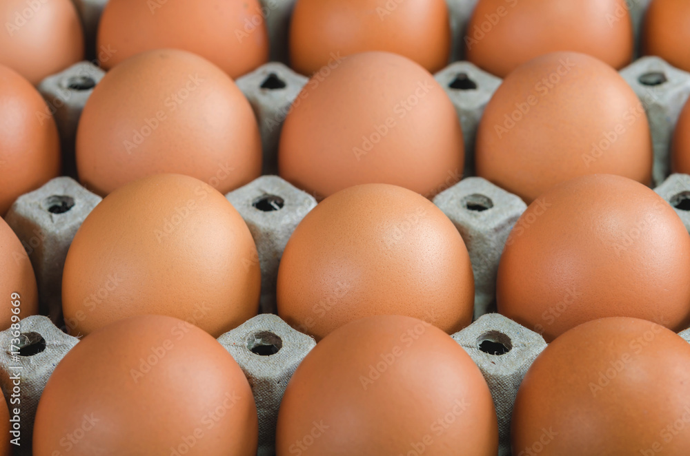 Close-up raw chicken eggs in egg box Close-up raw chicken eggs in egg box