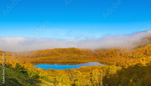 Beautiful forest lake in the autumn day.